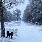 Oaza W Puszczy Z Sauna, Bania I Jacuzzi Szeroki Bór