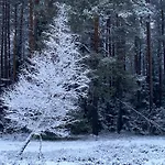 Oaza W Puszczy Z Sauna, Bania I Jacuzzi
