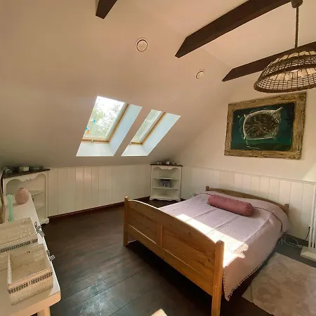 Oaza W Puszczy Z Sauna, Bania I Jacuzzi Szeroki Bor