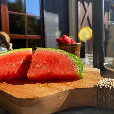 Oaza W Puszczy Z Sauna, Bania I Jacuzzi *