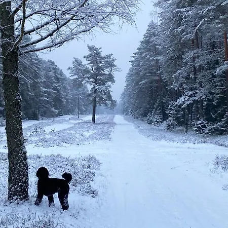 Oaza W Puszczy Z Sauna, Bania I Jacuzzi Szeroki Bor