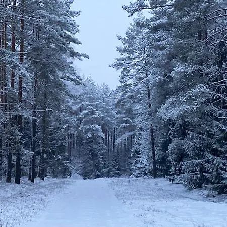 Oaza W Puszczy Z Sauna, Bania I Jacuzzi