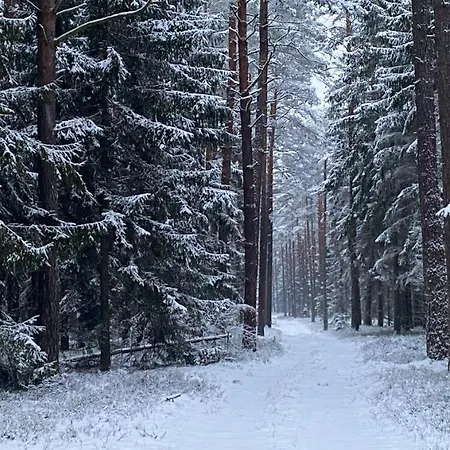 Дом отдыха Oaza W Puszczy Z Sauna, Bania I Jacuzzi *