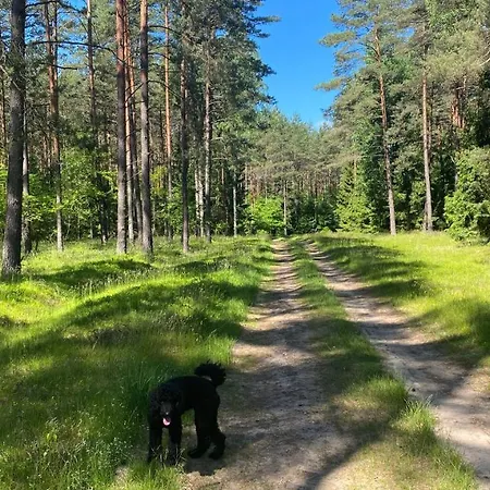 Oaza W Puszczy Z Sauna, Bania I Jacuzzi Дом отдыха