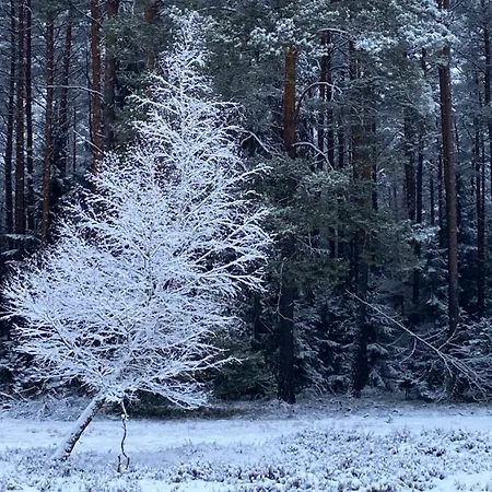 Oaza W Puszczy Z Sauna, Bania I Jacuzzi