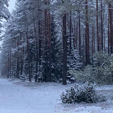 Oaza W Puszczy Z Sauna, Bania I Jacuzzi Szeroki Bor