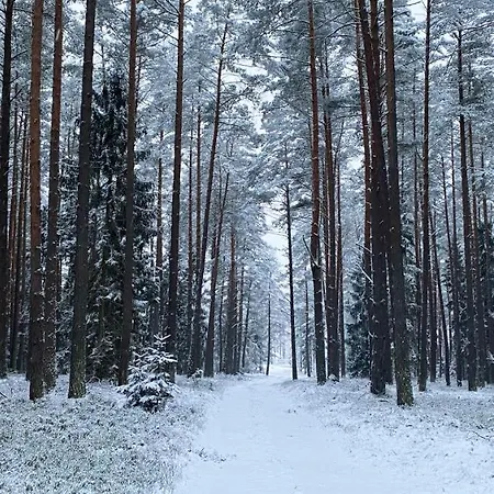 Oaza W Puszczy Z Sauna, Bania I Jacuzzi Szeroki Bor