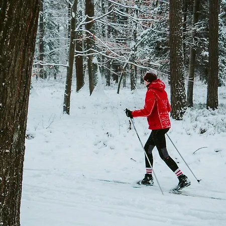 Oaza W Puszczy Z Sauna, Bania I Jacuzzi Szeroki Bor