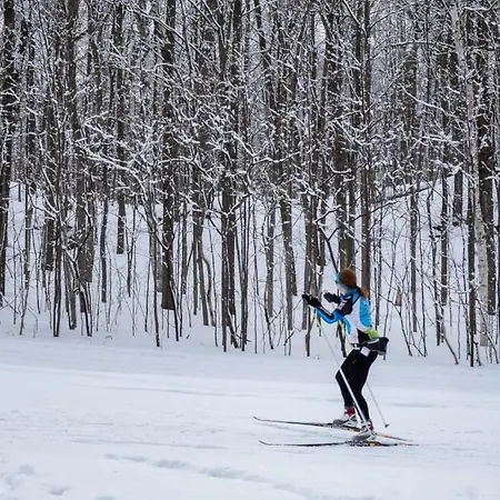 Oaza W Puszczy Z Sauna, Bania I Jacuzzi Дом отдыха *